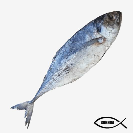 Ruchi Gold Palmolein Oil