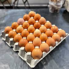 Eggs